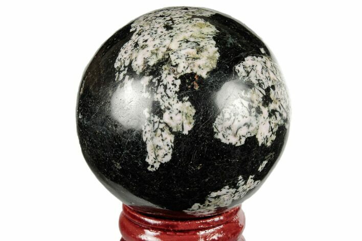 Polished Snowflake Stone Sphere - Pakistan #187580